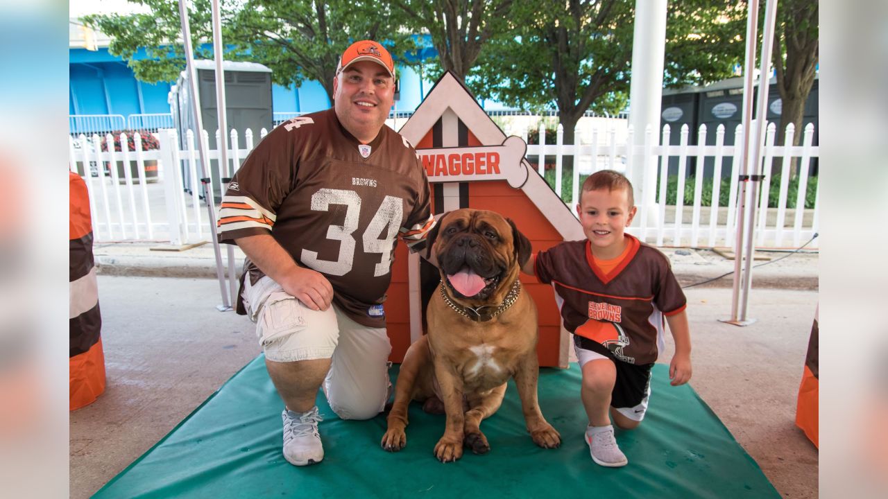 Swagger, the Cleveland Browns bullmastiff mascot, is retiring after  Sunday's game