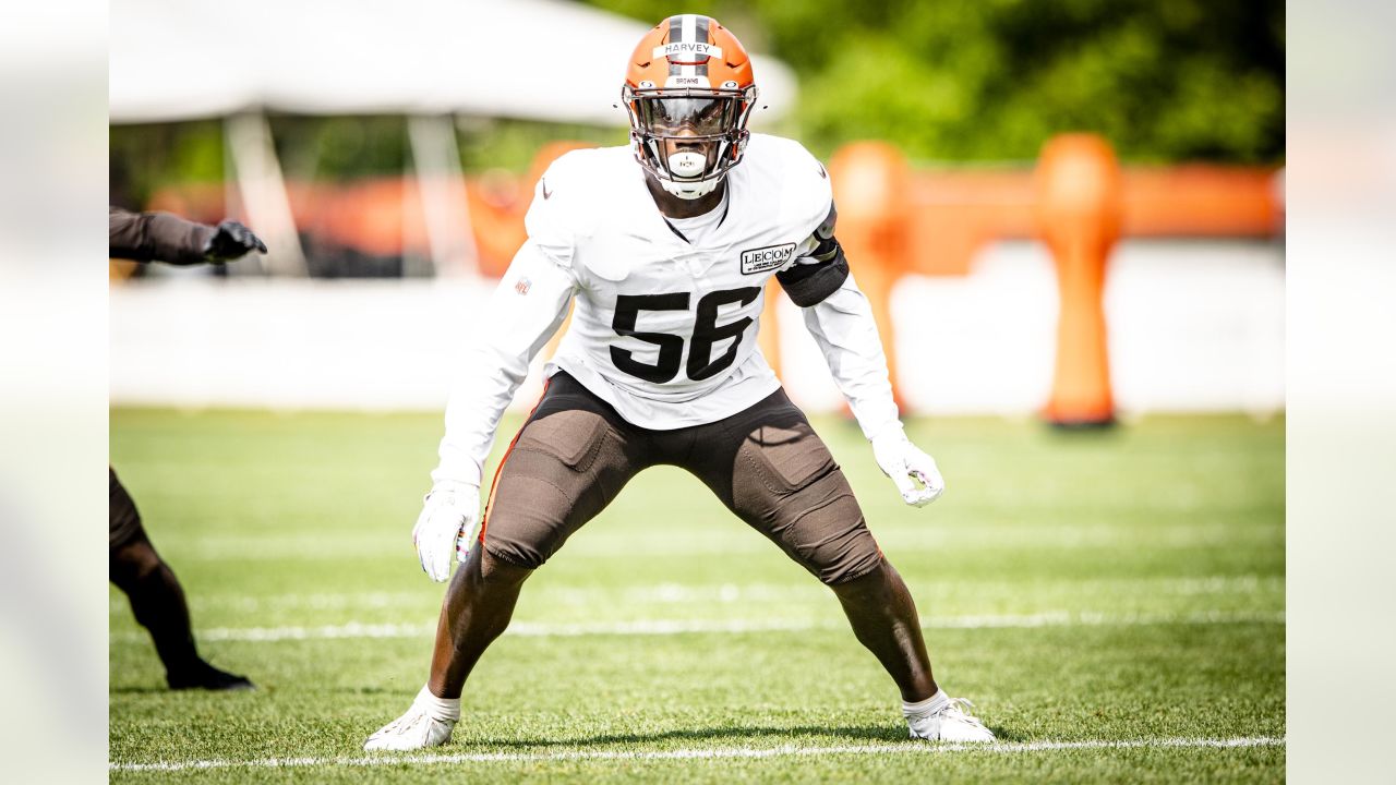 10,167 Cleveland Browns Training Camp Stock Photos, High-Res