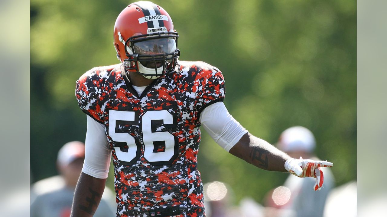 cleveland browns camouflage jersey