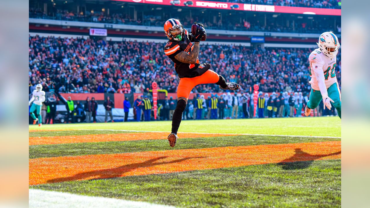 Photos: Week 12 - Browns vs. Dolphins Game Action