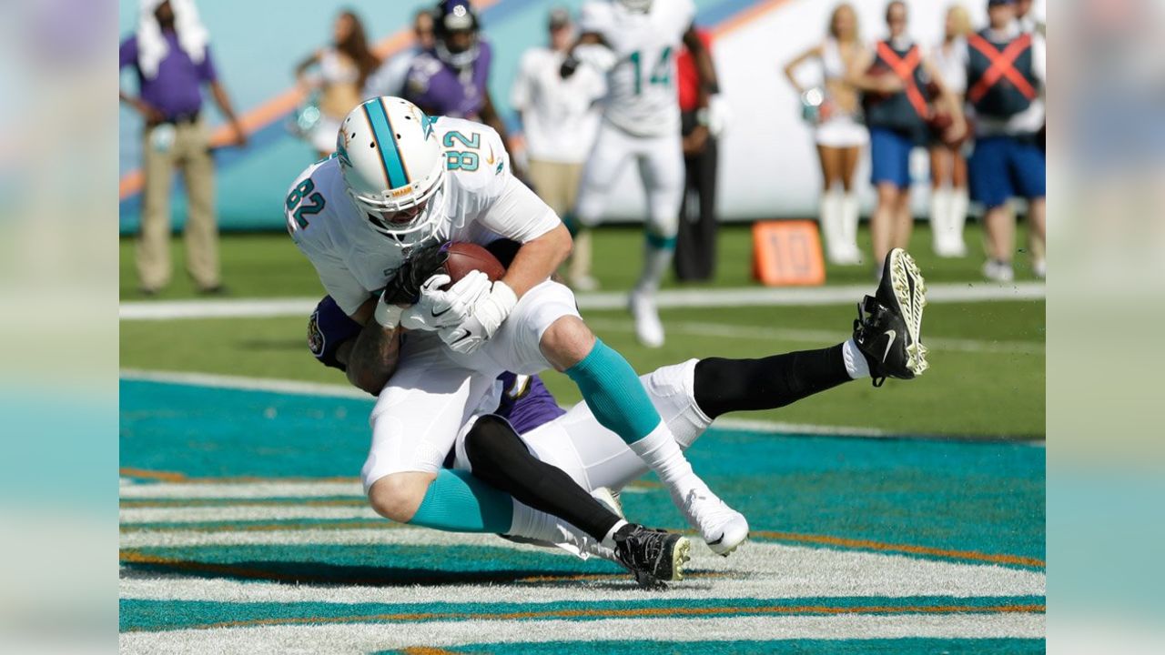 GlenOak grad Brian Hartline shines in loss to Browns