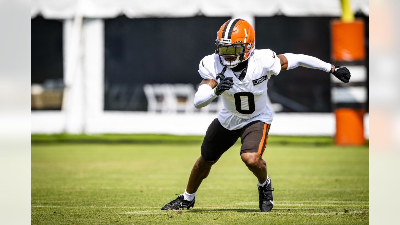 Browns' Grant Delpit wants defense to be league leaders in