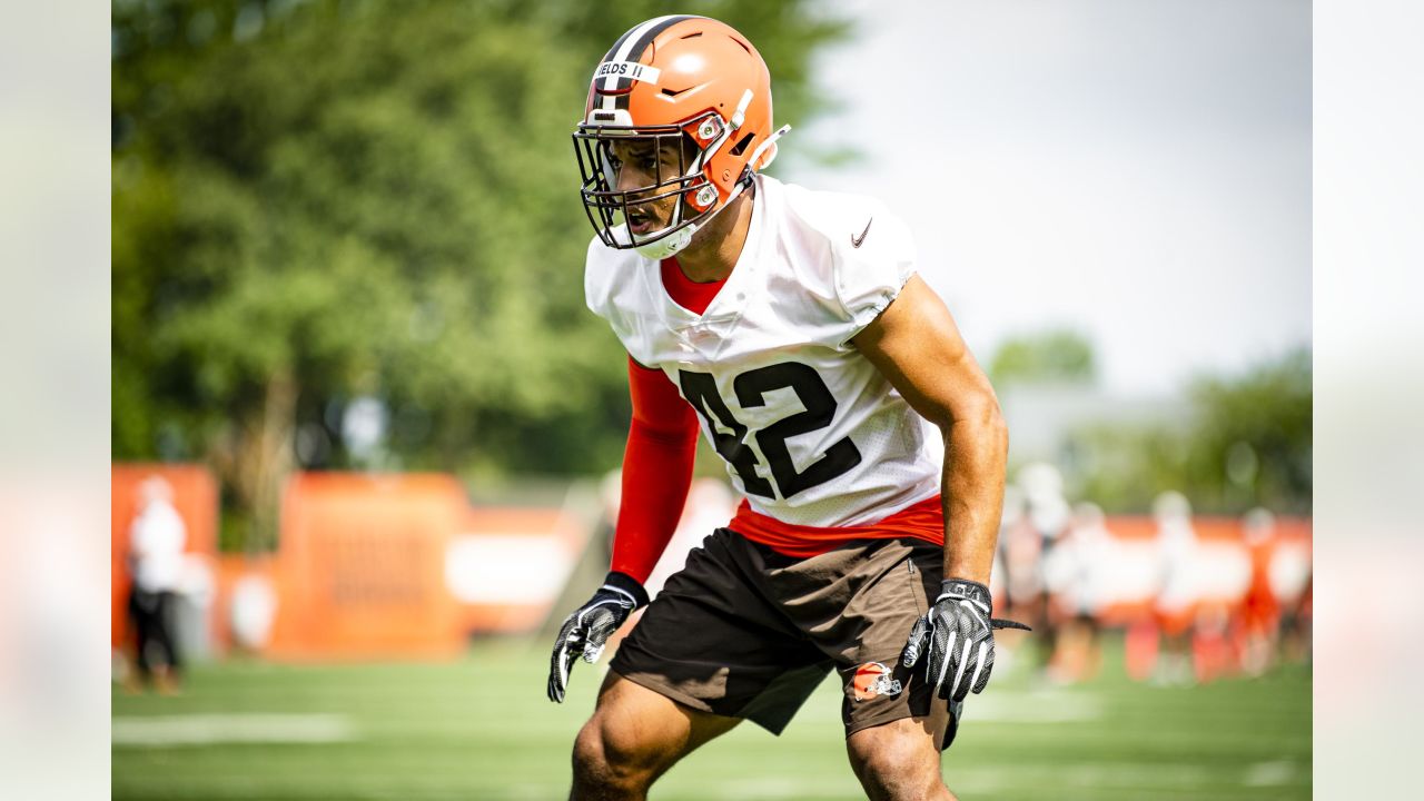 Interview: Browns linebacker Tony Fields II - Dawgs By Nature