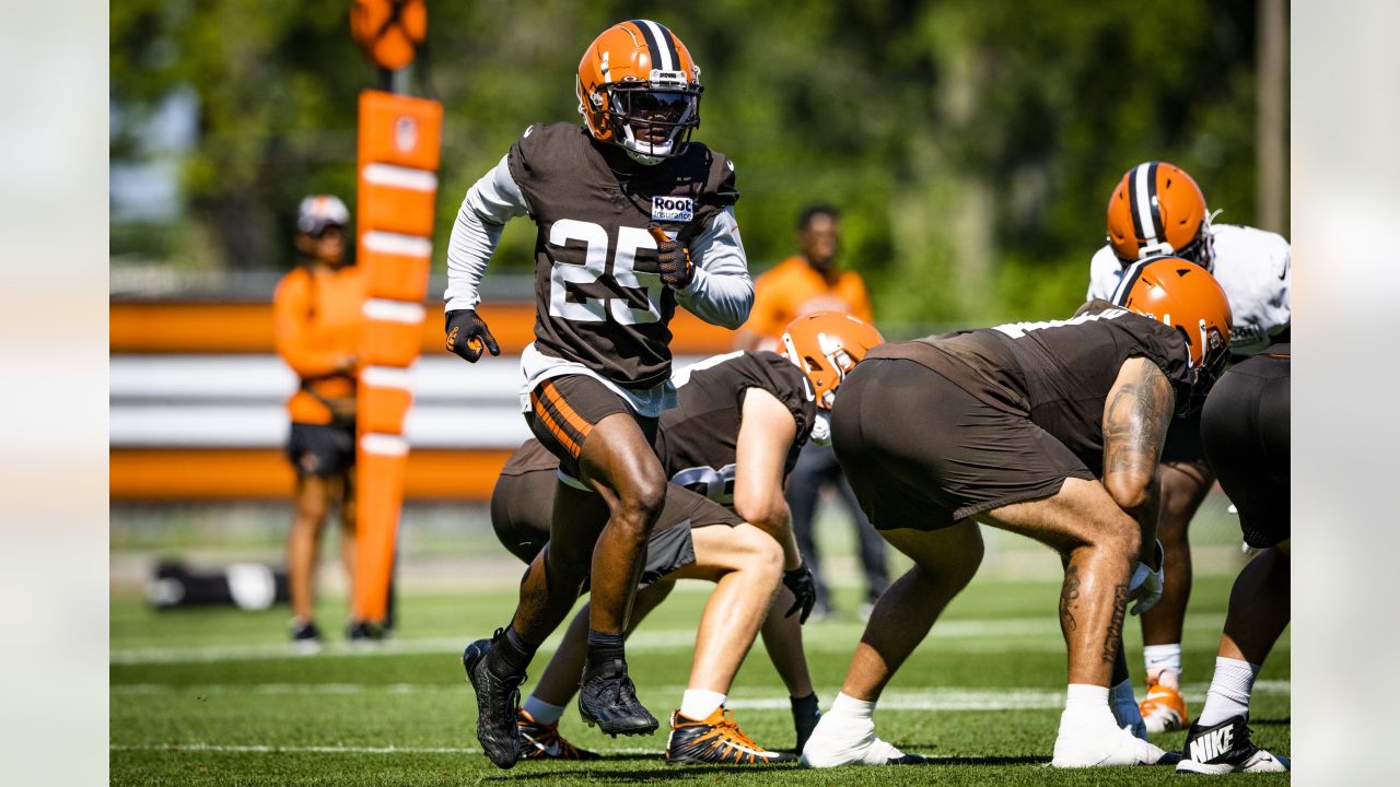 QB Brissett to start Browns' preseason finale against Bears - The San Diego  Union-Tribune