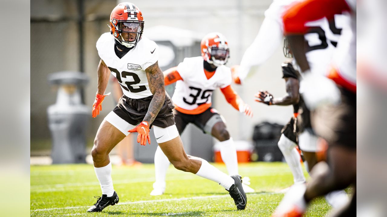 Mailbag: How's Grant Delpit looking? Who's the backup tight end? How  concerning is Anthony Schwartz's hamstring injury? - BrownsZone with Scott  Petrak