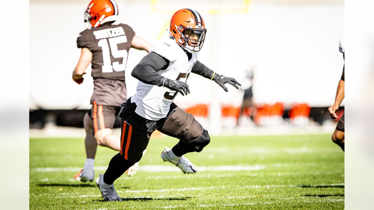 Browns D-line will tap into its depth with Larry Ogunjobi sidelined