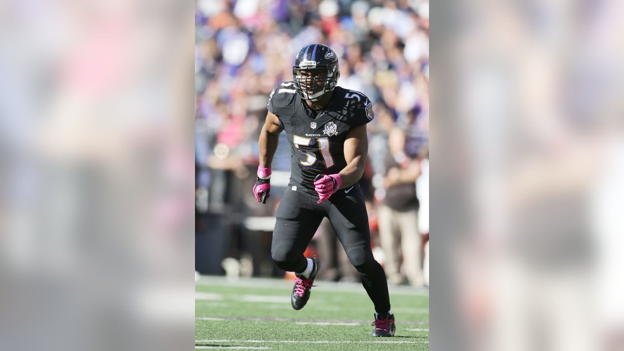 Daryl Smith doing well with Ravens