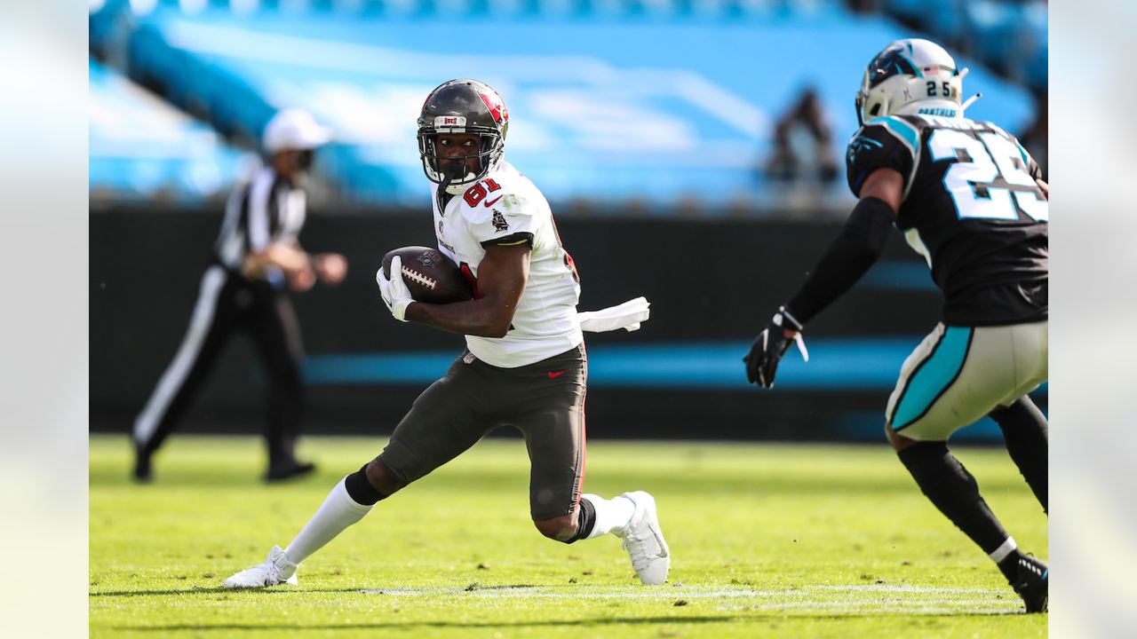 Week 10 Panthers vs Falcons Photo Gallery