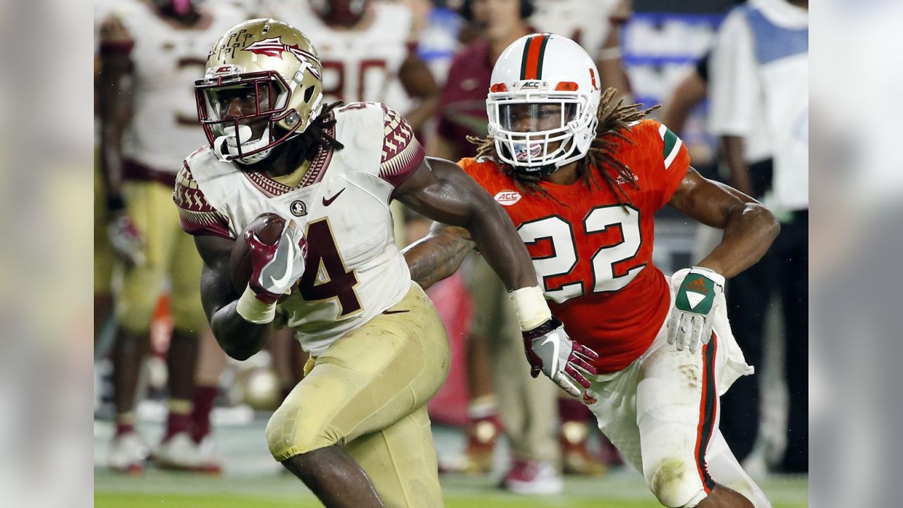 Dalvin Cook Florida State Seminoles Unsigned Runs for A Touchdown Photograph