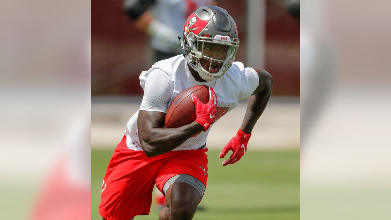 Bucs starting running back: Who is RB1 and his handcuff for Tampa Bay in fantasy  football? - DraftKings Network