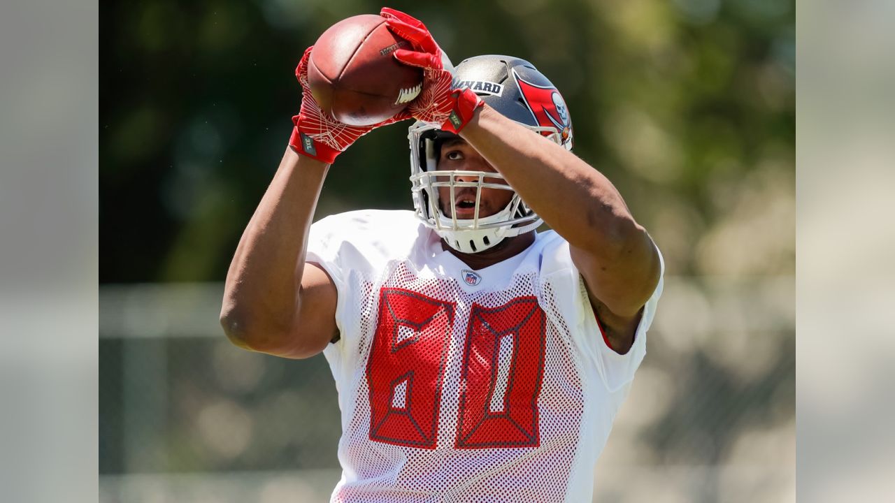 Watch: Buccaneers rookie O.J. Howard watches NFL debut through father's  eyes 