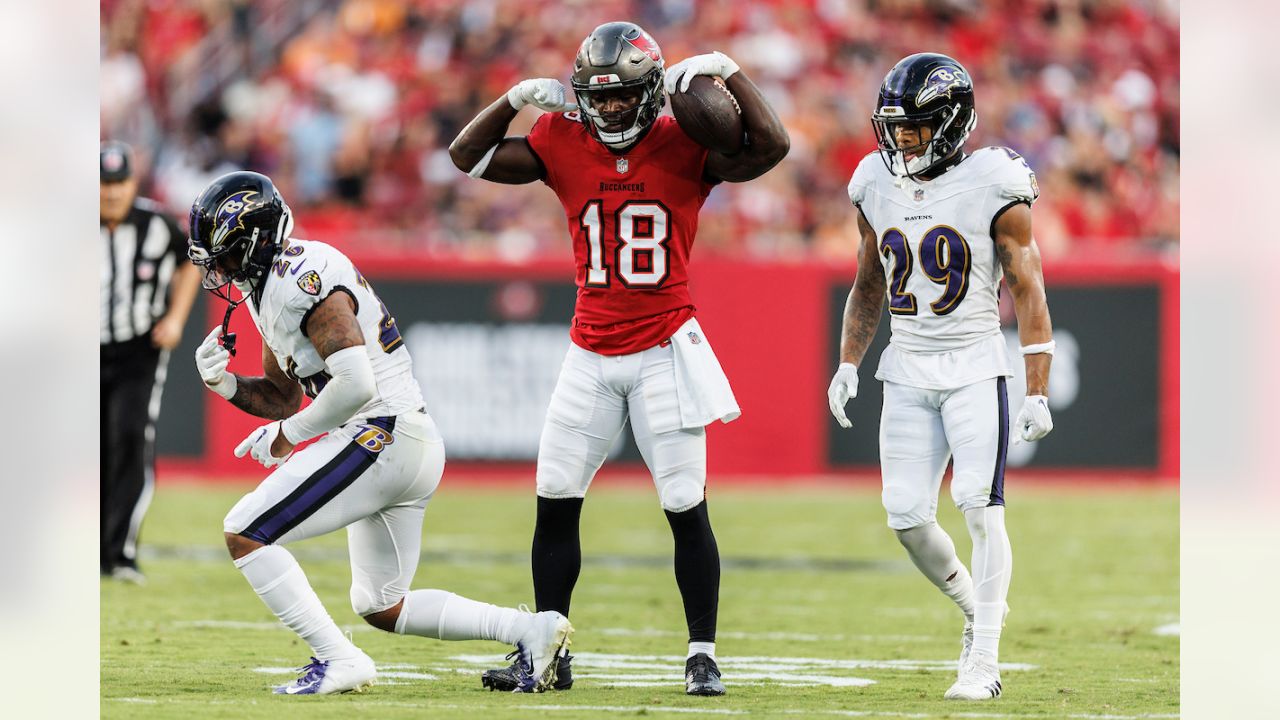 Ravens Vs Bucs Stock Photo, Picture And Royalty Free Image. Image 32296652.