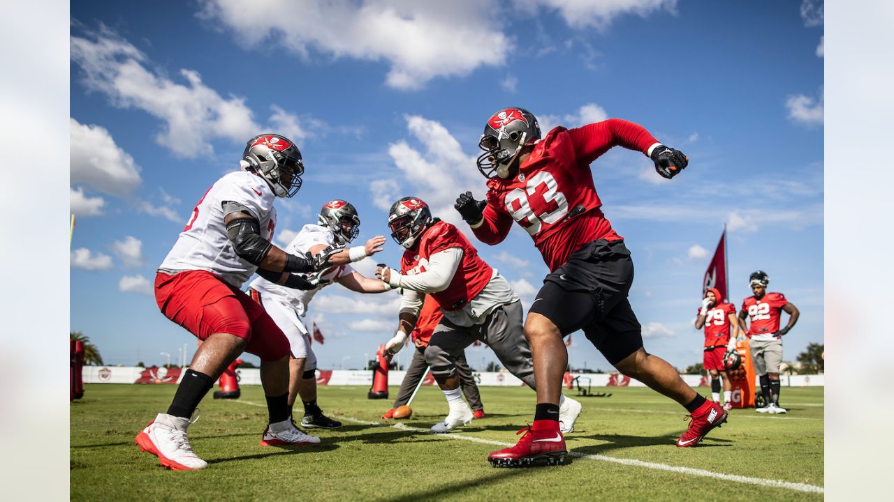 Los Angeles Rams: Ndamukong Suh wears team gloves in Bucs photo