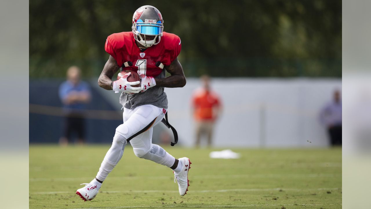 Buccaneers: DeSean Jackson is shining early on in camp