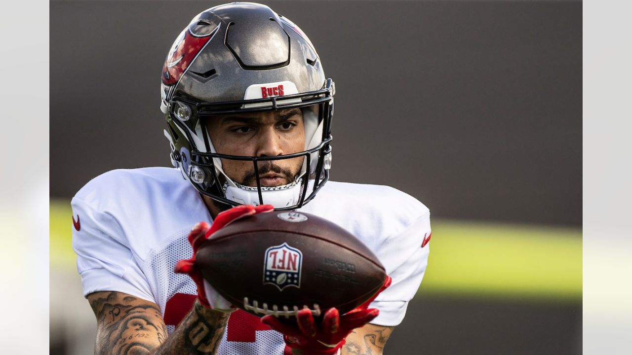 : 2019 Playbook Football #80 Mike Evans Tampa Bay