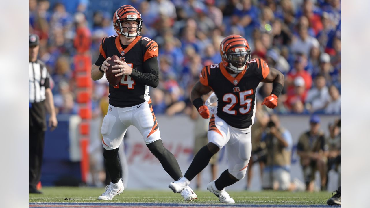 Tampa Bay Buccaneers running back Giovani Bernard (25) runs the ball during  an NFL wild-card playoff football game, Sunday, Jan. 16, 2022. (AP  Photo/Don Montague Stock Photo - Alamy