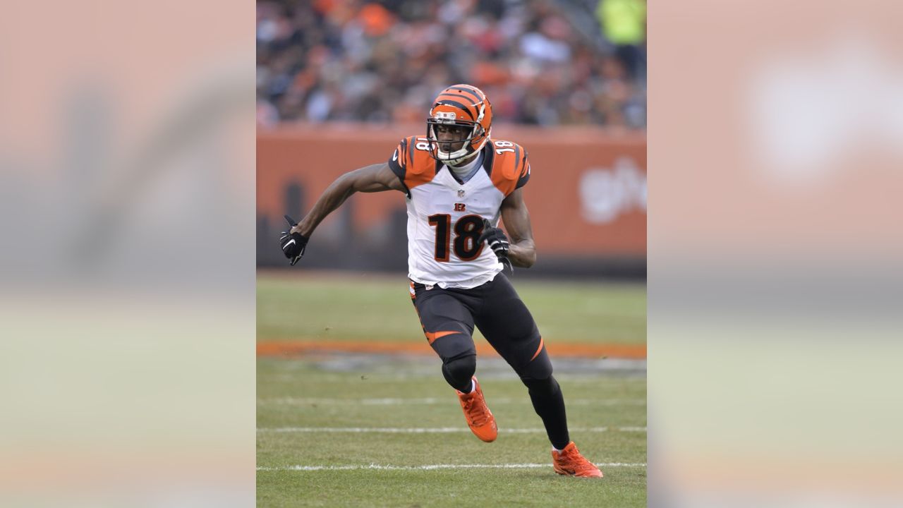 Bengals release 2015 preseason schedule