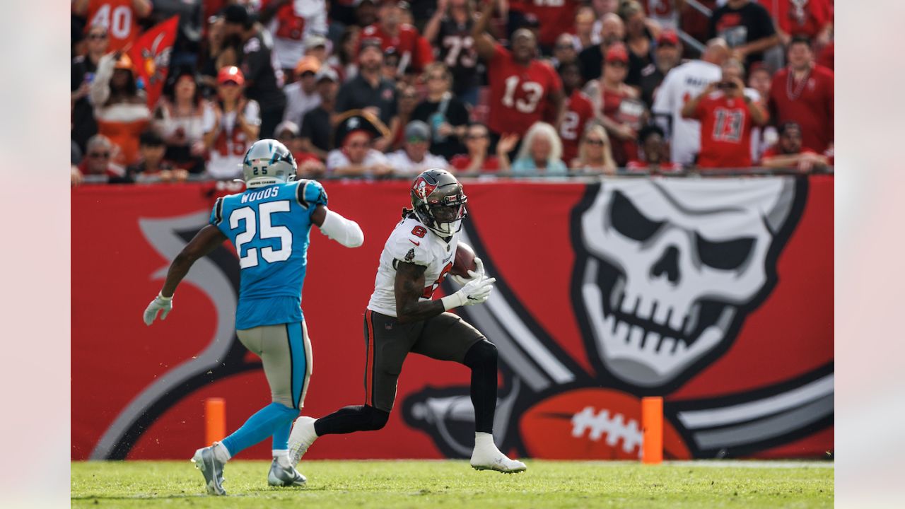 11,303 Carolina Panthers V Tampa Bay Buccaneers Photos & High Res