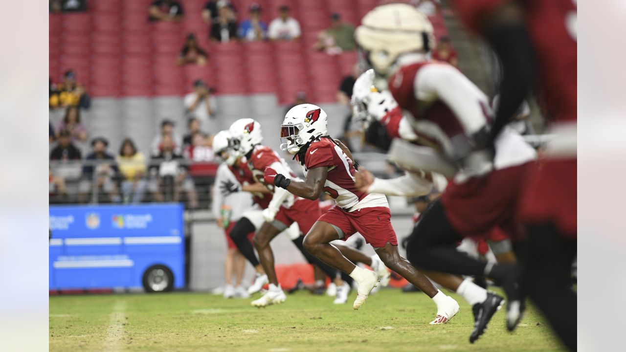 Fake punt alert! Arizona Cardinals punter Andy Lee catches Tampa Bay  Buccaneers sleeping with 4-yard chain-moving throw