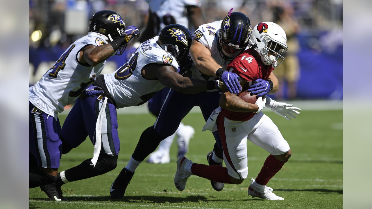 Terrell Suggs' Return to Form Has Helped Baltimore's Defense Bounce Back, News, Scores, Highlights, Stats, and Rumors