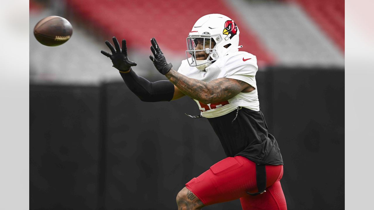 Arizona Cardinals tight end Noah Togiai (81) runs after the catch