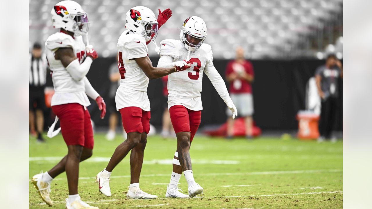 PHOTOS: Cardinals Training Camp - August 24