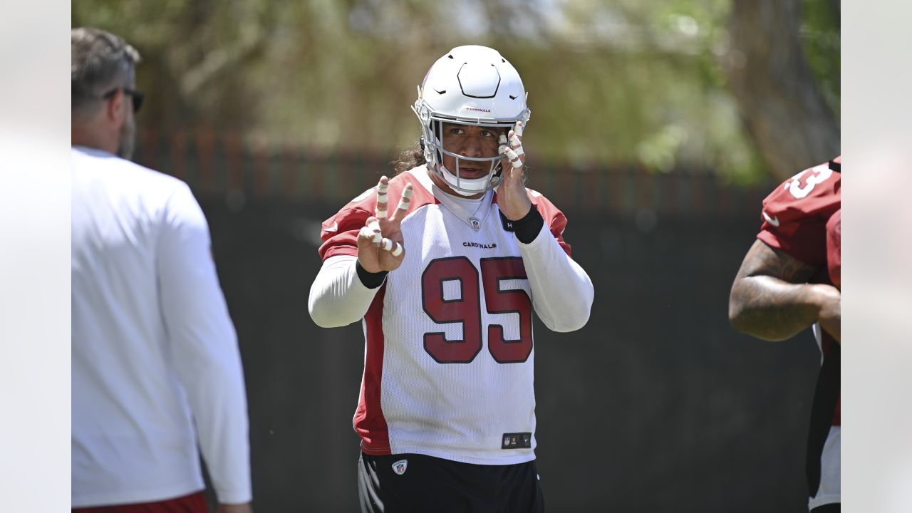 Cardinals Position Overview 2022: Running Back