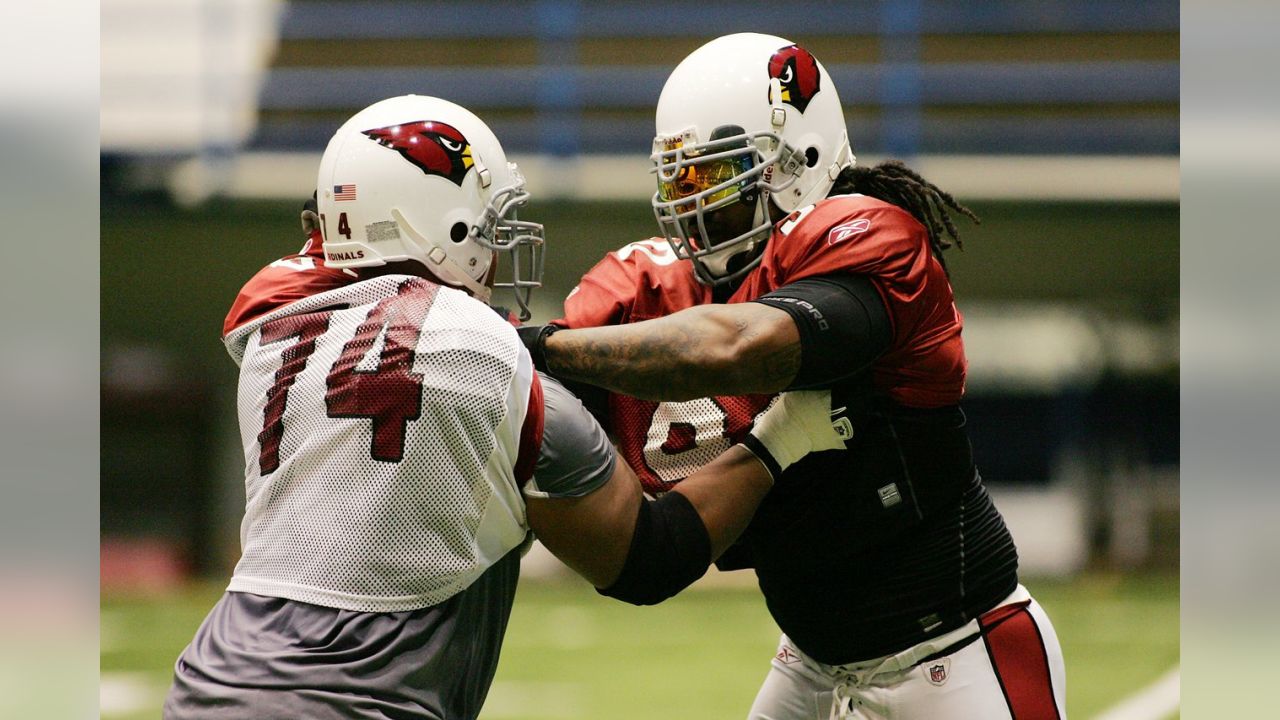 Darnell Dockett retires after 10 seasons in NFL