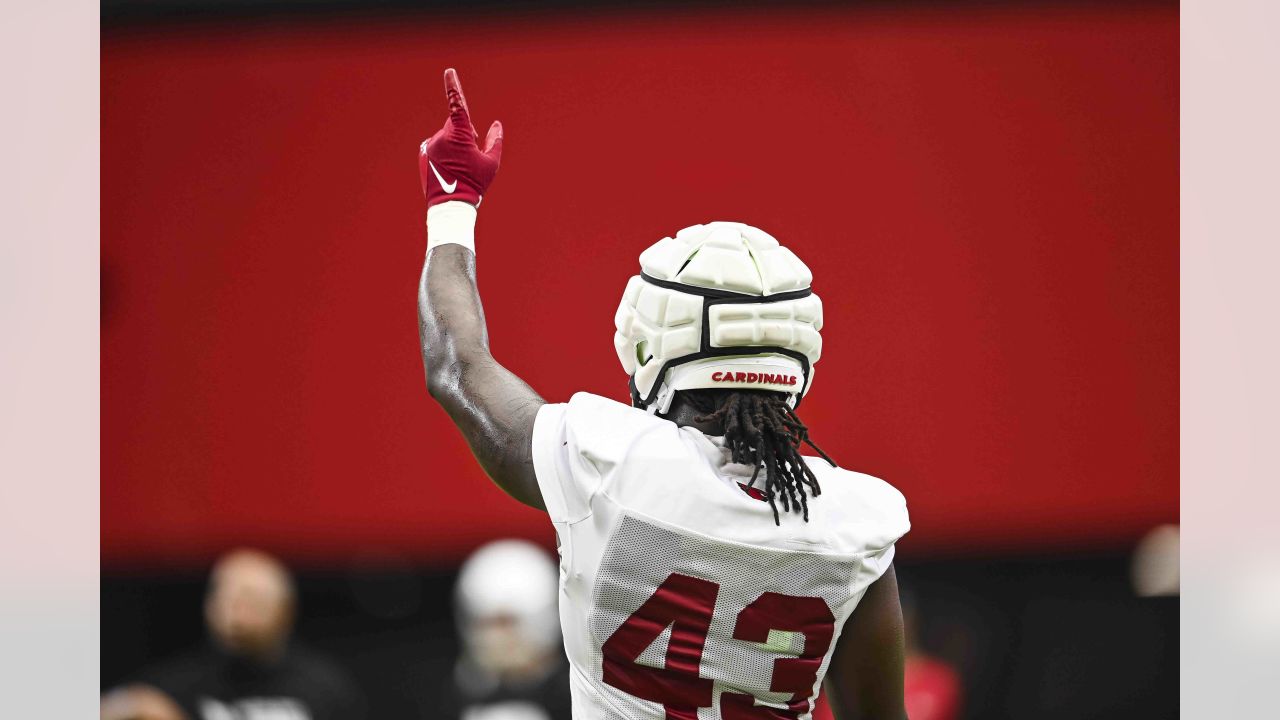 NFL Arizona Cardinals Football Team Training Camp Editorial Stock Image -  Image of blocking, helmet: 32643519