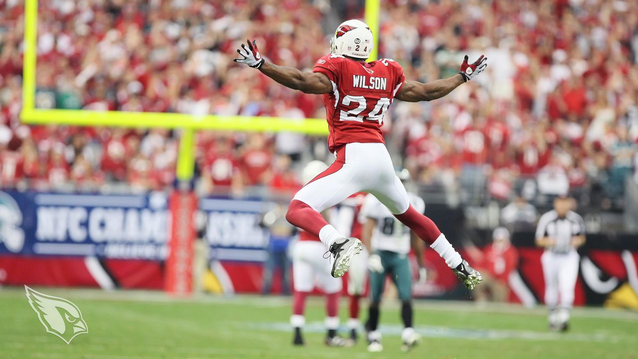 Bertrand Berry 2008 NFC Champions Arizona Cardinals 8X10 Photo