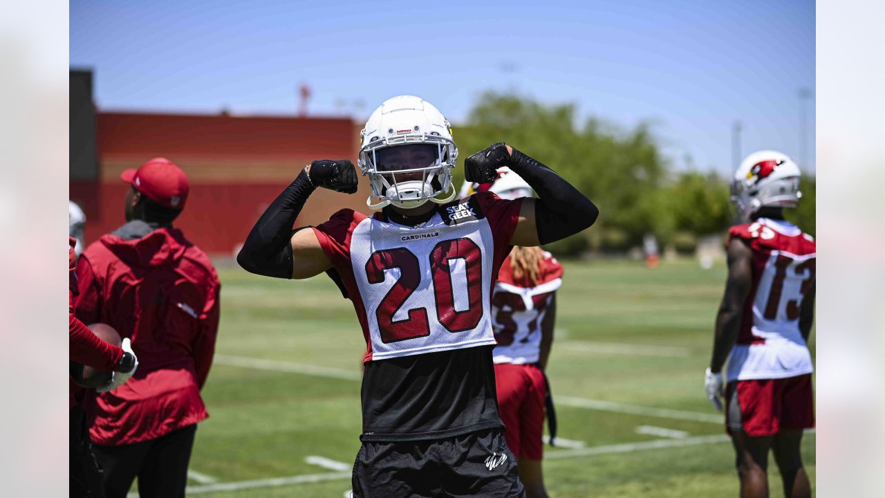 arizona cardinals 22