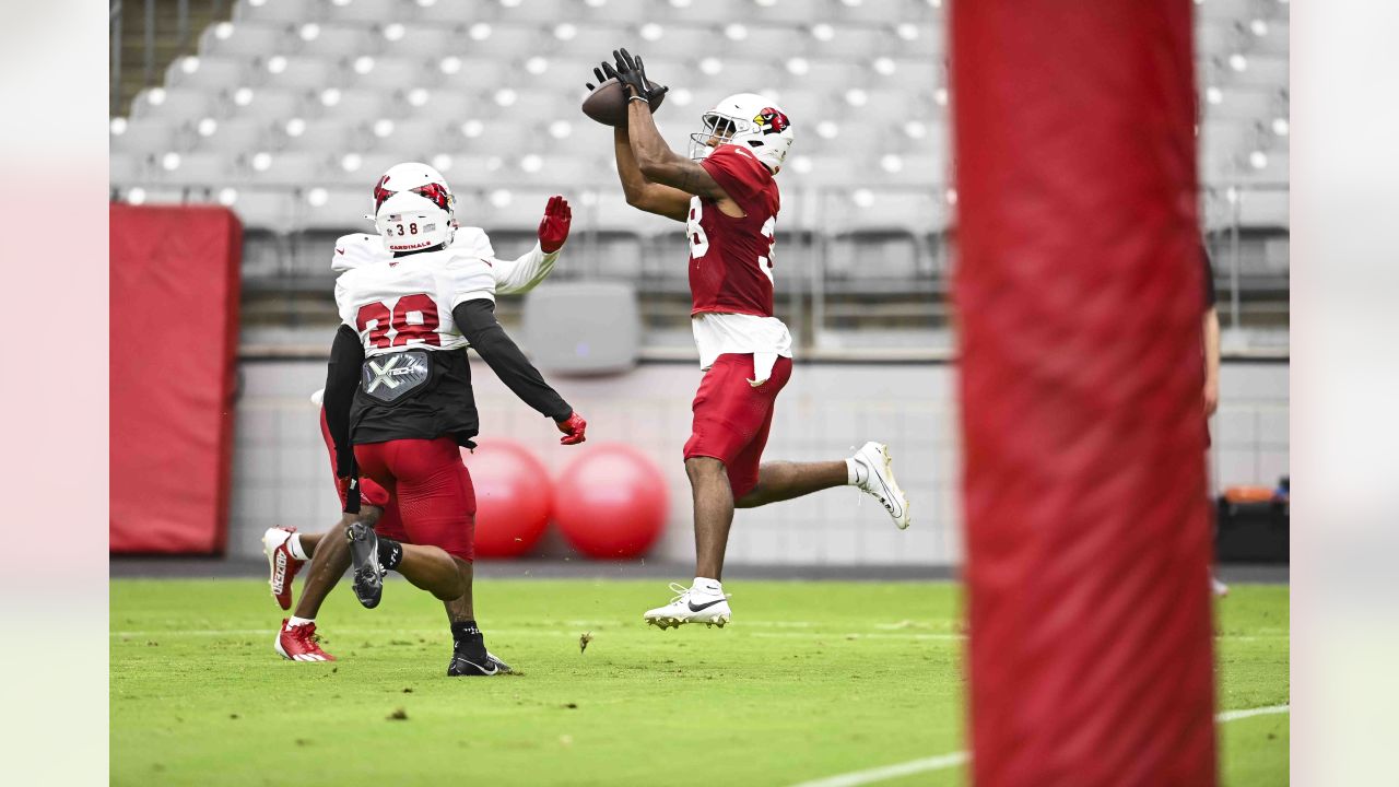 PHOTOS: Cardinals Training Camp - August 24