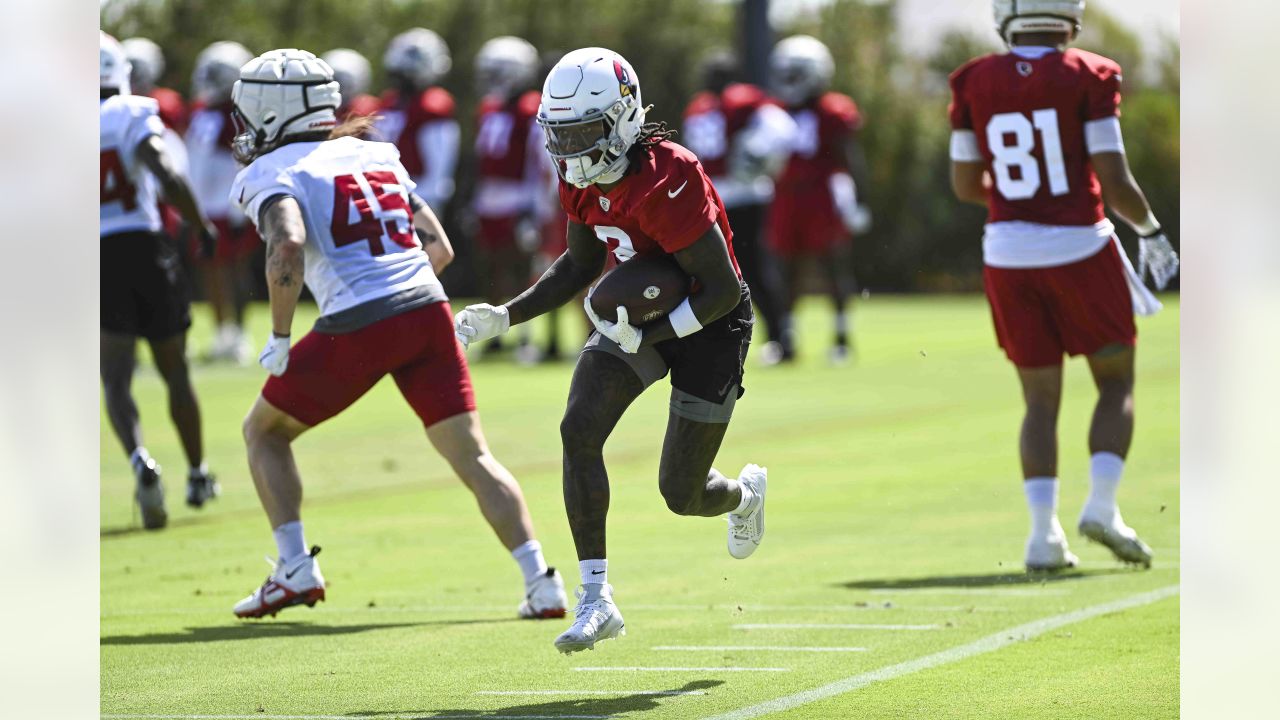 PHOTOS: Cardinals Training Camp - August 16