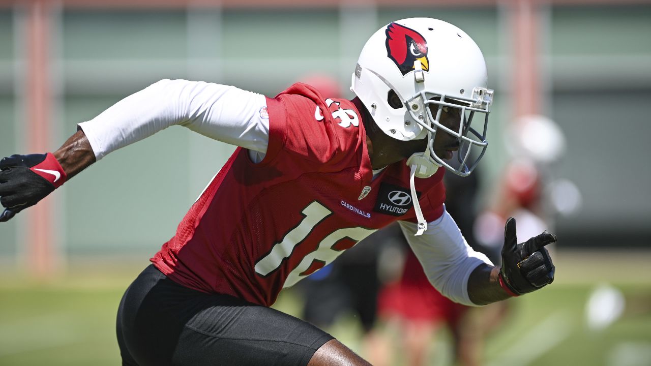 Cardinals Position Overview 2022: Wide Receiver