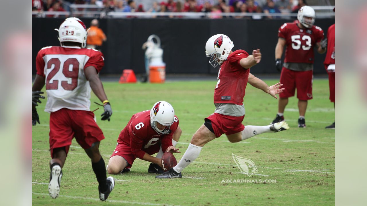 BenFred: Journeyman Motter would be Cardinals camp sensation – if roster  wasn't so crowded