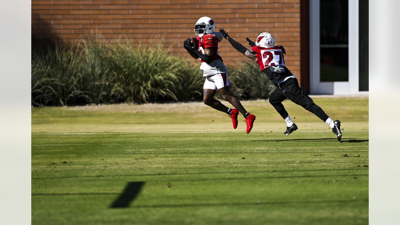 DENVER, CO - DECEMBER 18: Arizona Cardinals linebacker Myjai Sanders (41)  and safety Chris Banjo (31