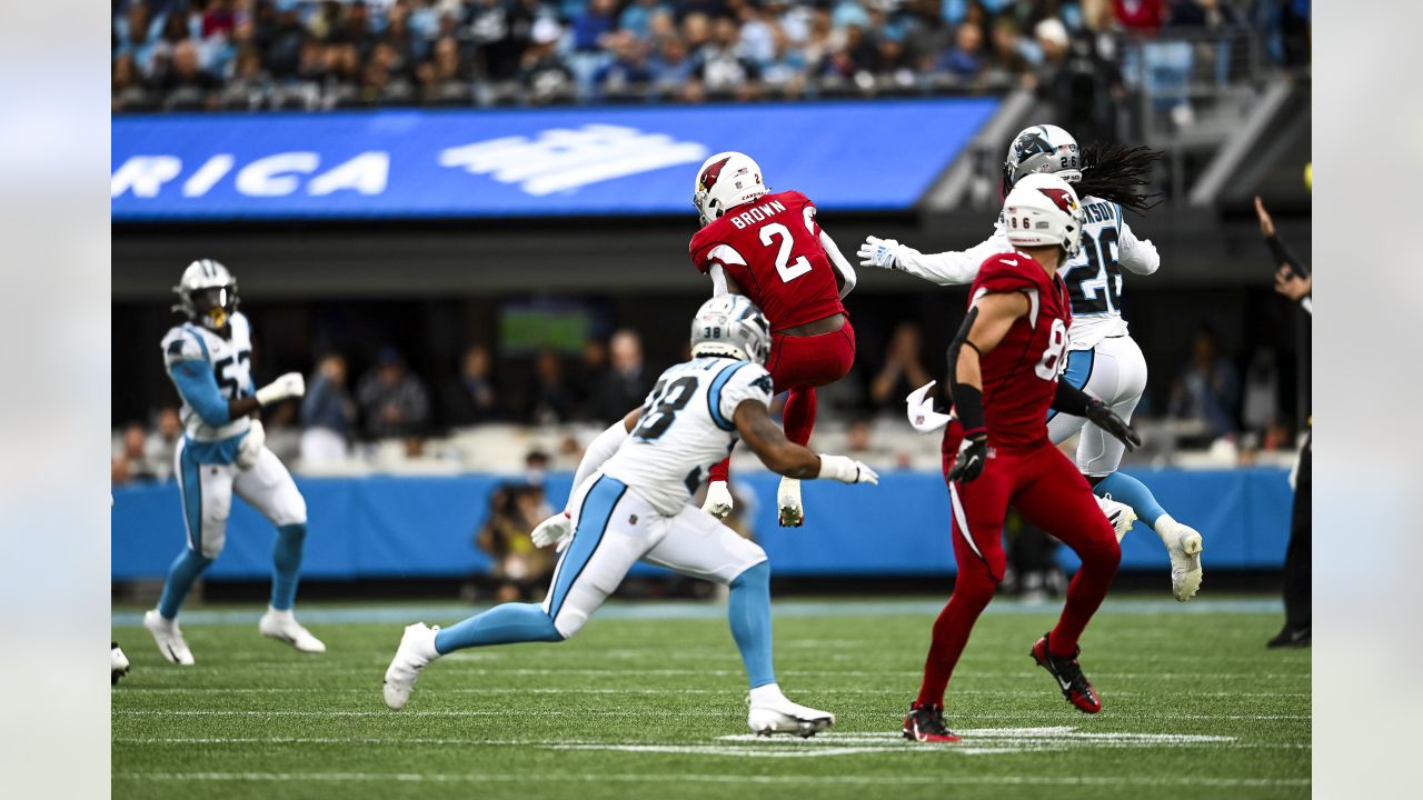 Arizona Cardinals vs Carolina Panthers (2021): Game time, TV schedule, and  how to watch online - Revenge of the Birds