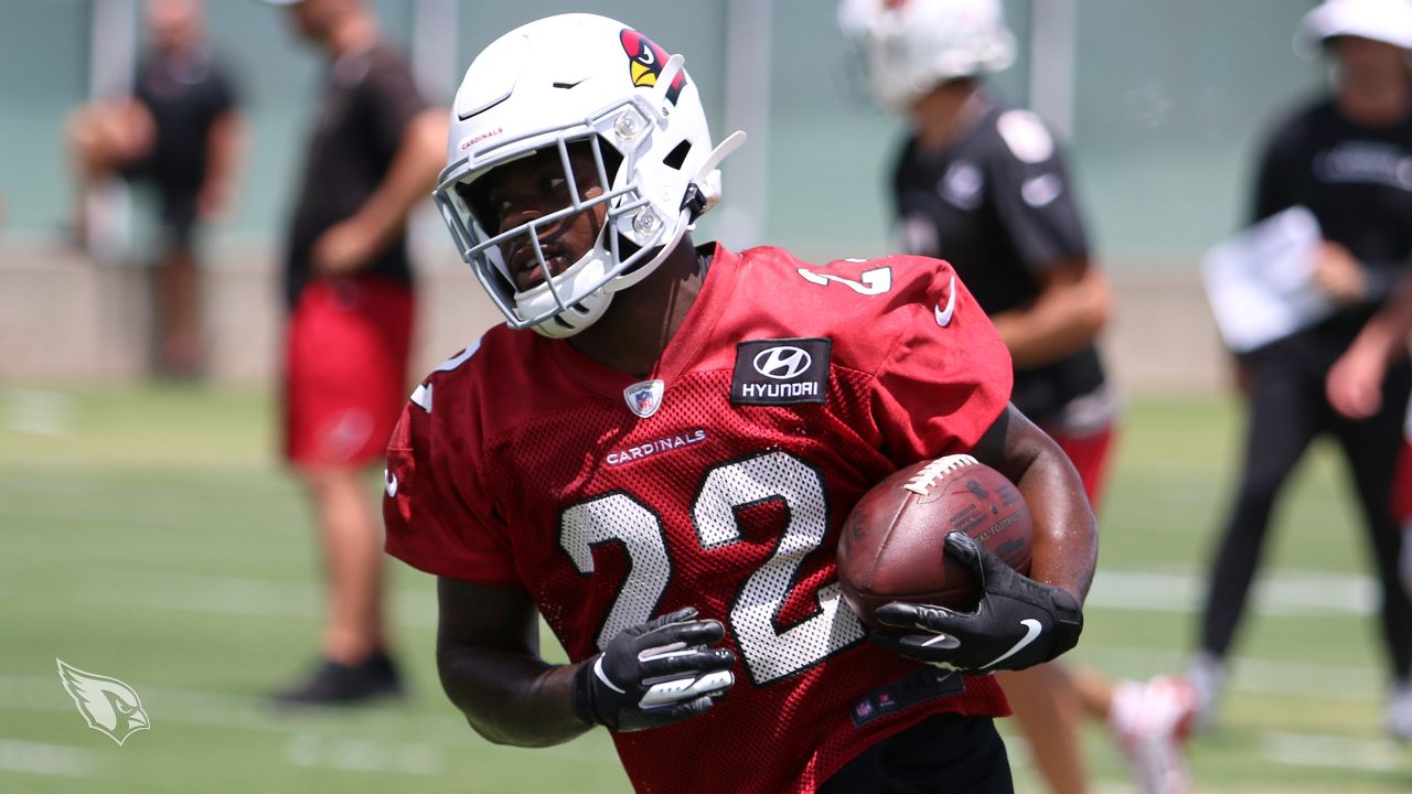 Cardinals Position Overview: Running Backs