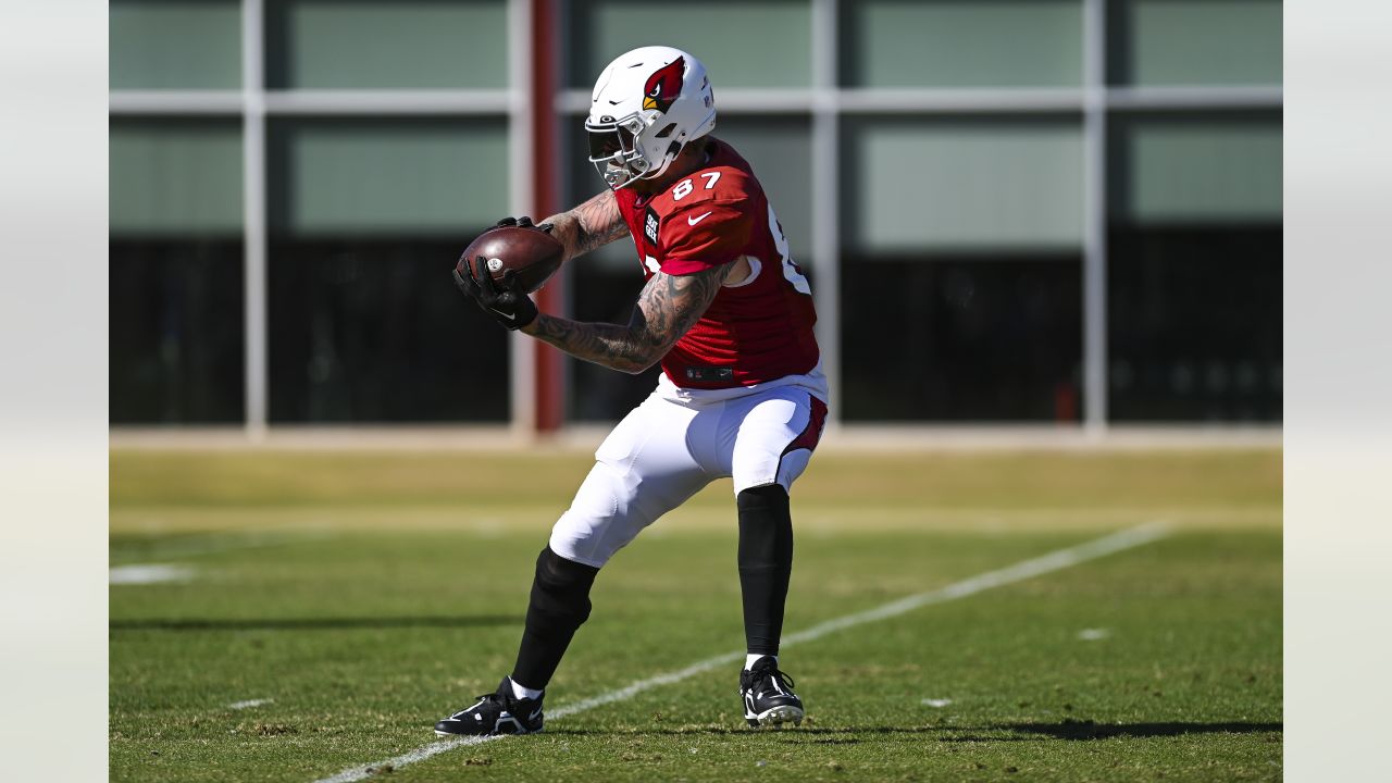 DENVER, CO - DECEMBER 18: Arizona Cardinals linebacker Myjai Sanders (41)  and safety Chris Banjo (31