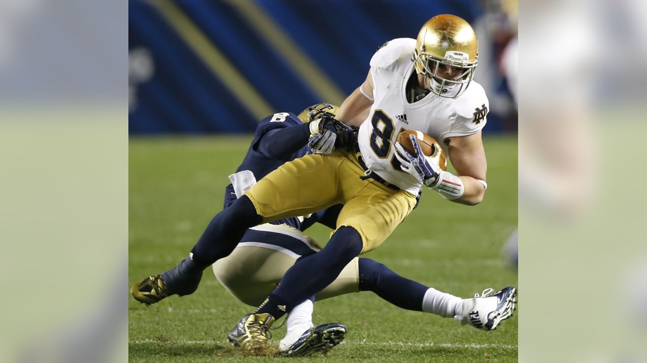 Arizona Cardinals tight end Troy Niklas (87) pulls in a touchdown