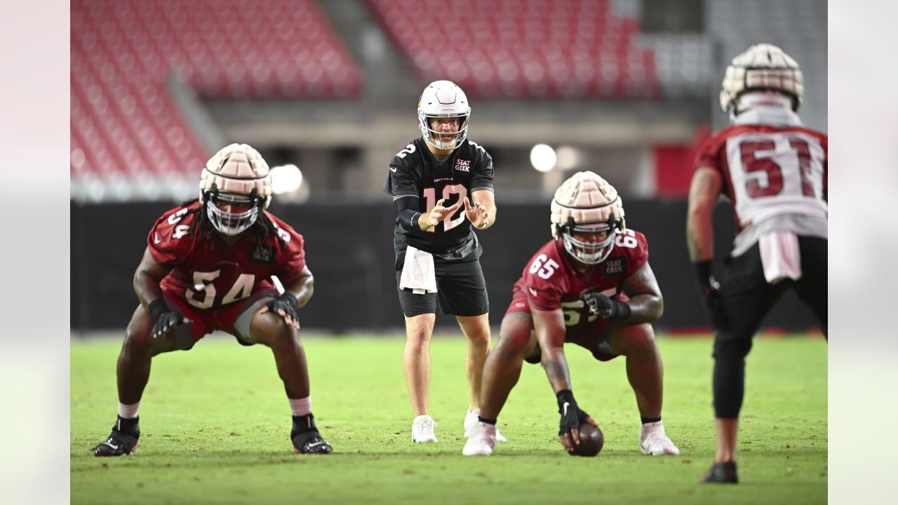 NFL Arizona Cardinals Training Camp Editorial Photography - Image of  athlete, american: 20890492