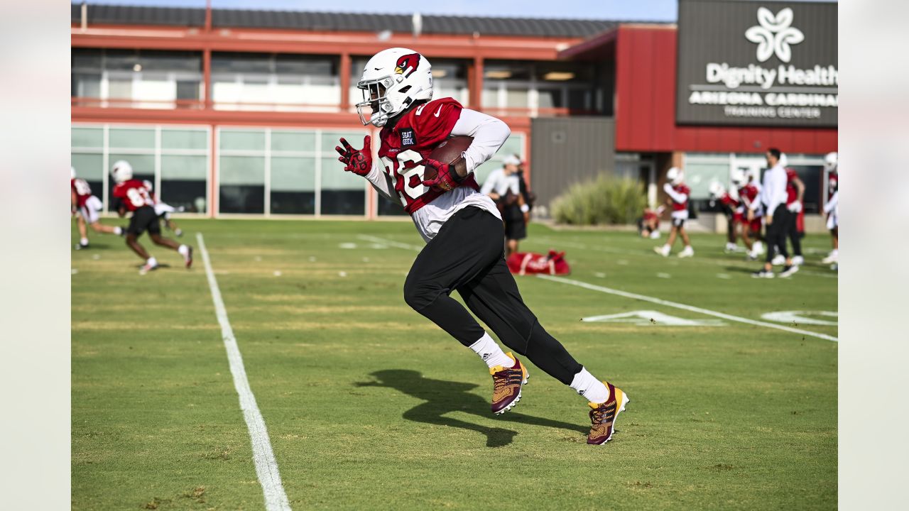 Arizona Cardinals RB Eno Benjamin Popular Week 6 Fantasy Football Add -  Sports Illustrated Arizona Cardinals News, Analysis and More