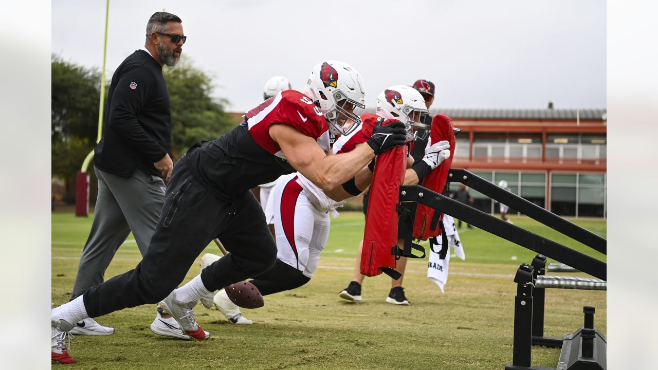 Arizona Cardinals defensive end J.J. Watt's swim move results in