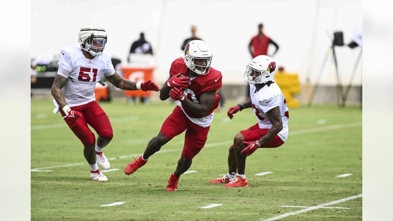 L.J. Collier - Arizona Cardinals Defensive End - ESPN