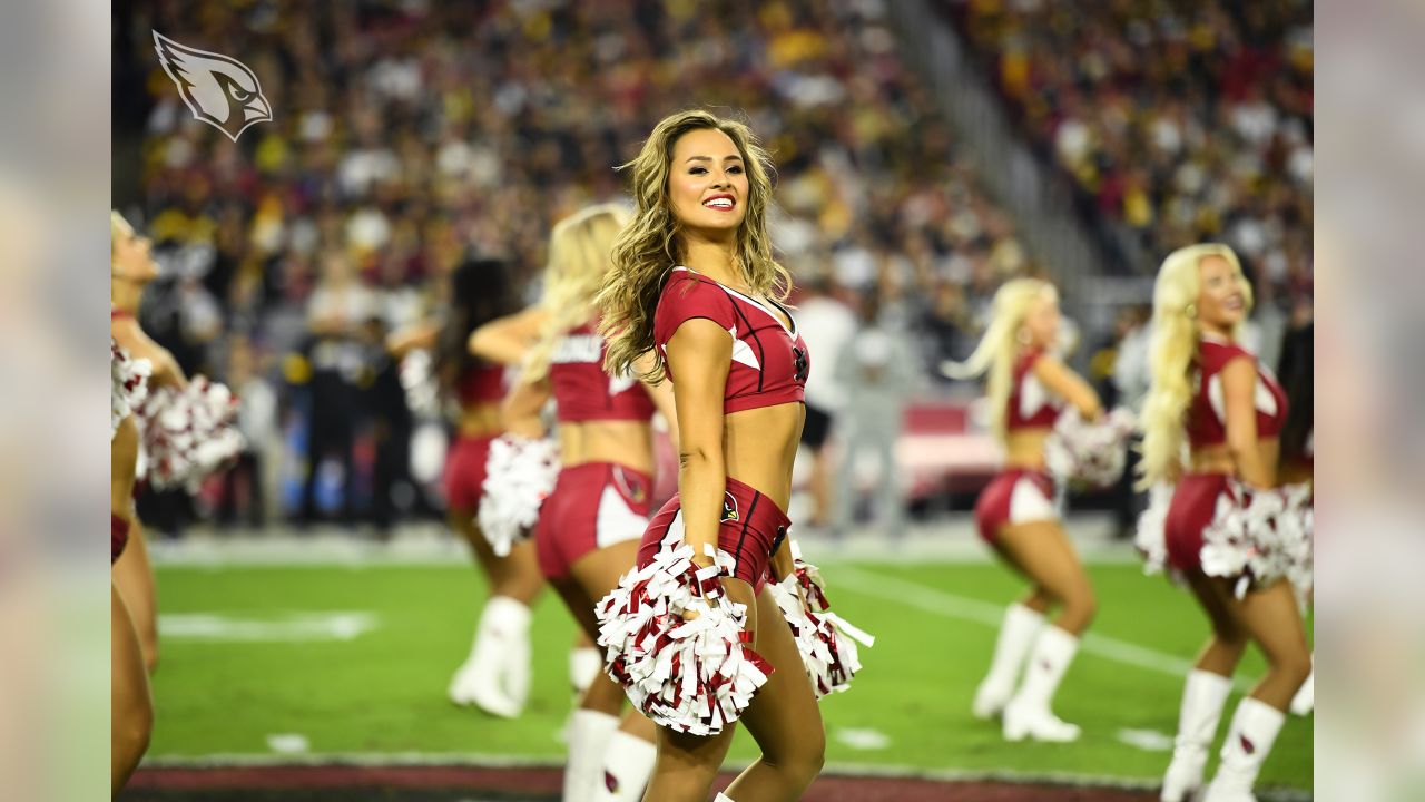 2,115 Arizona Cardinals Cheerleaders Stock Photos, High-Res