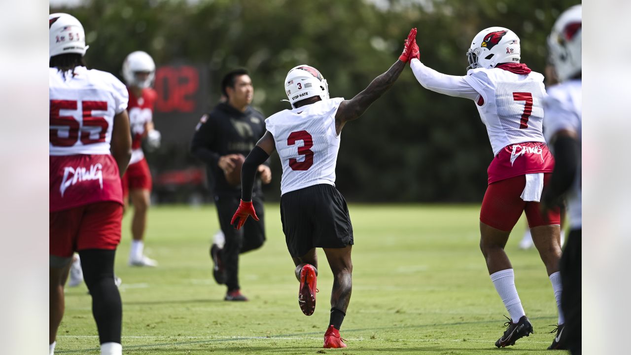 Arizona Cardinals' David Johnson (31) works out during an NFL football  organized team activity, Wednesday, June 5, 2019, in Tempe, Ariz. (AP  Photo/Matt York Stock Photo - Alamy