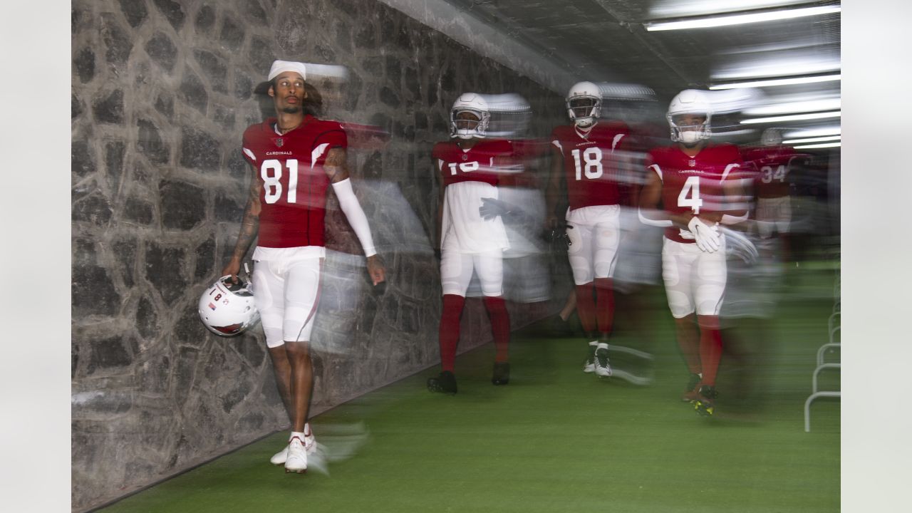 Arizona Cardinals wide receiver Robbie Anderson (81) against the