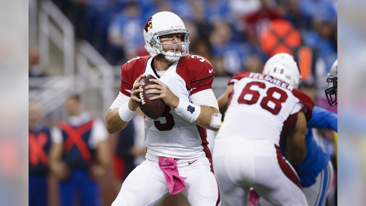 Arizona Cardinals QB Carson Palmer: Darnell Dockett leaves 'big shoes to  fill'