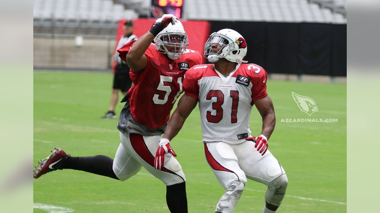 Darren Fells Arizona Cardinals Game Worn & Signed Pink Breast Cancer  Awareness Nike Gloves - Big Dawg Possessions