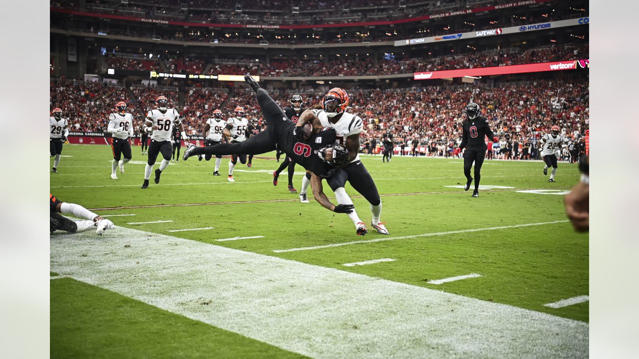 Arizona Cardinals vs. Cincinnati Bengals highlights